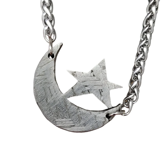 Meteorite Pendant Muonionalusta Iron Meteorite Necklace TD68