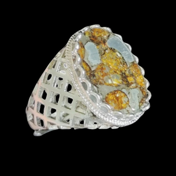 Brenham Meteorite Ring,Nature Meteorite Material Olive Meteorite Ring Jewelry 925 silver. The ring is suitable for various j1.1