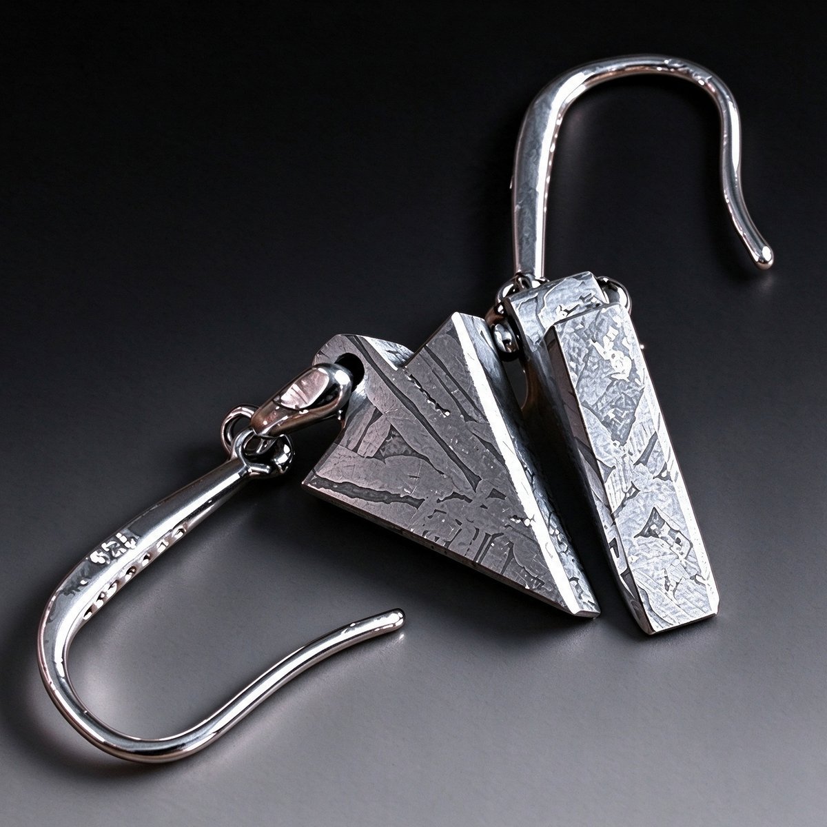 Munioanastella meteorite pendant earrings, Wiedemannstein pattern earrings