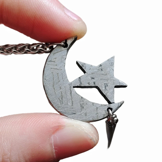 Meteorite Pendant Muonionalusta Iron Meteorite Necklace TD68