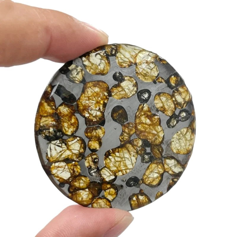 Seymchan Pallasite Meteorite Pendant — Round Slice with Green Olivine