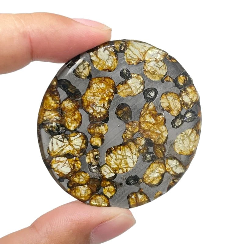 Seymchan Pallasite Meteorite Pendant — Round Slice with Green Olivine