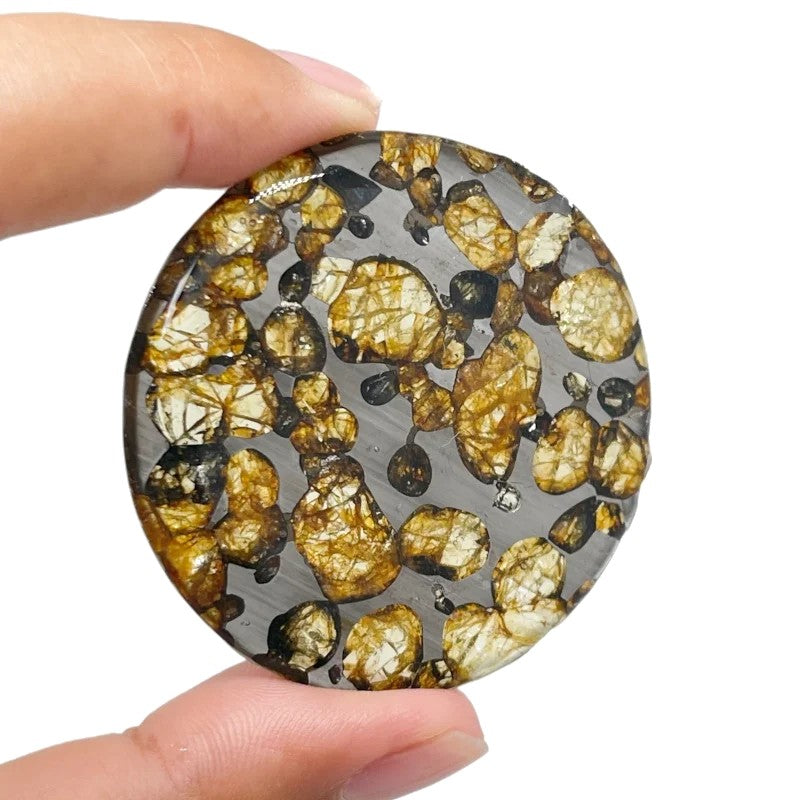 Seymchan Pallasite Meteorite Pendant — Round Slice with Green Olivine