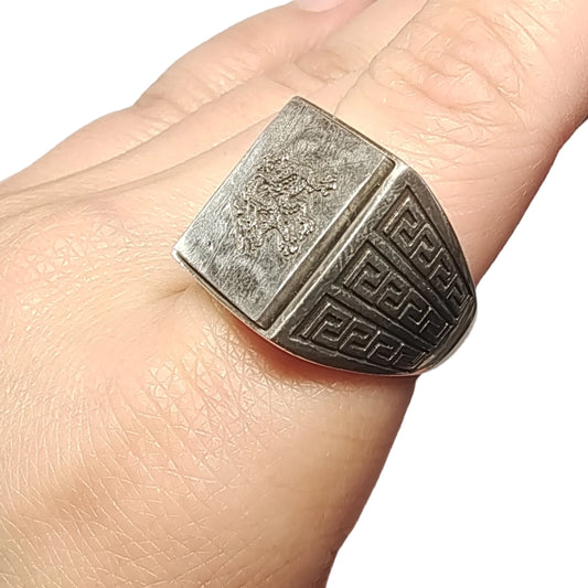 8.9g Muonionalusta meteorite S925 Silver Ring Natural iron meteorite pendant MeteoriteHandmade jewelry Silver Ring -K23