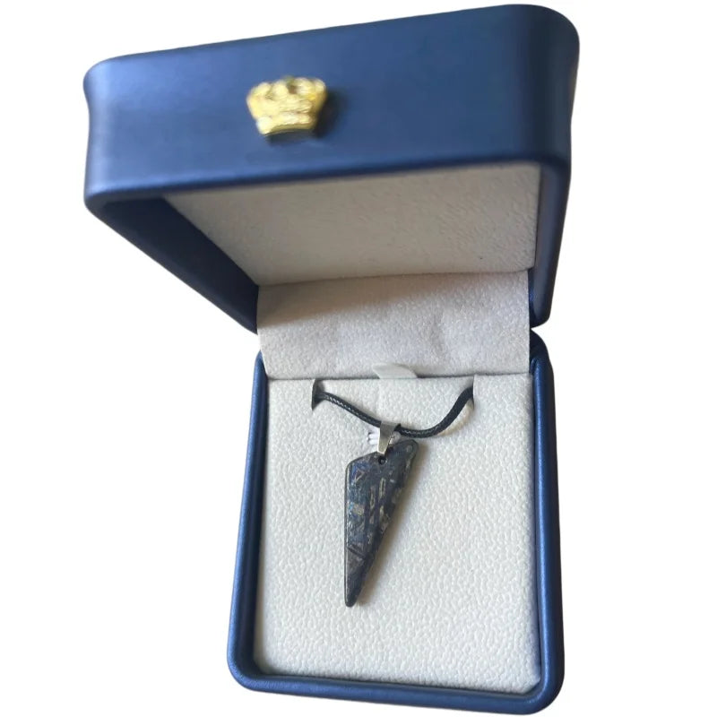 8.2g Muonionalusta meteorite pendant Natural iron meteorite pendant Meteorite slice Collection -LK261