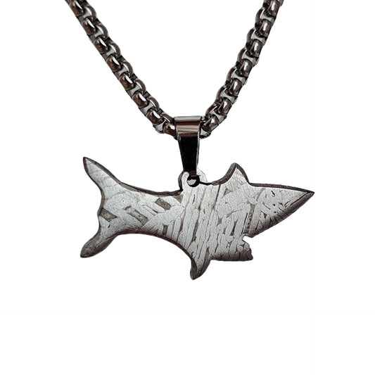 7.8g Muonionalusta meteorite pendant Natural iron meteorite pendant Meteorite slice Collection -LK083