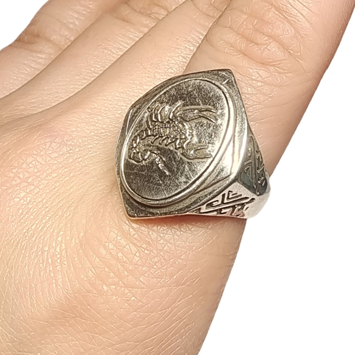 8.8g Muonionalusta Meteorite S925 Silver Ring Natural Iron Meteorite Pendant Meteorite Handmade Jewelry Silver Ring --K25