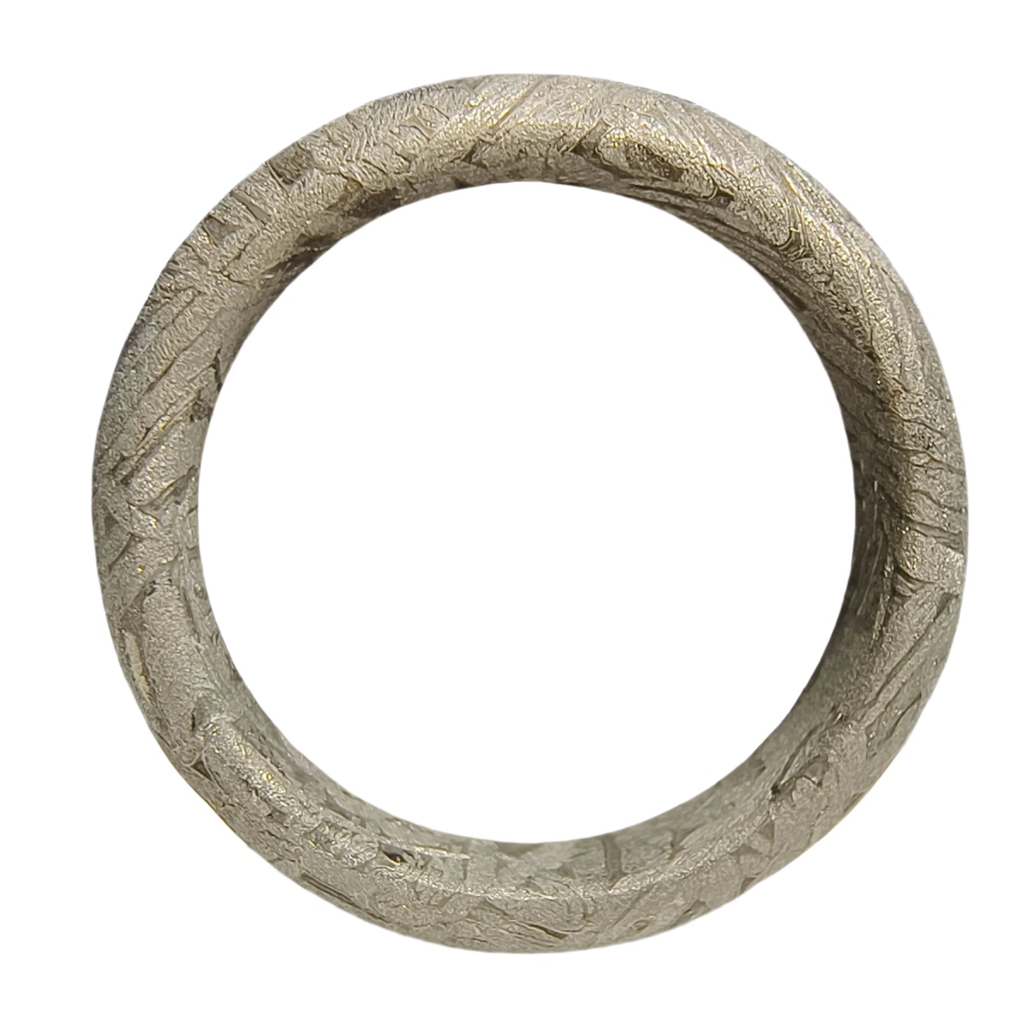 Muonionalusta meteorite Ring Natural iron meteorite pendant MeteoriteHandmade jewelry Silver Ring-E
