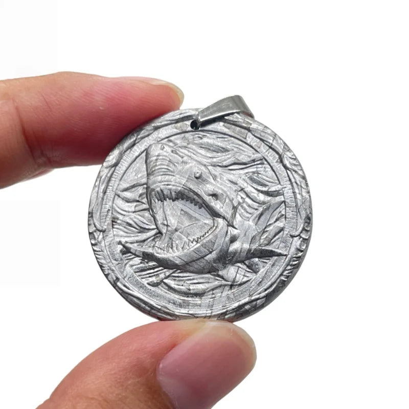 18.2 g Muonionalusta Carving Shark Meteorite Pendant Natural Iron Meteorite Pendant Supports Customized Collectibles - LK321