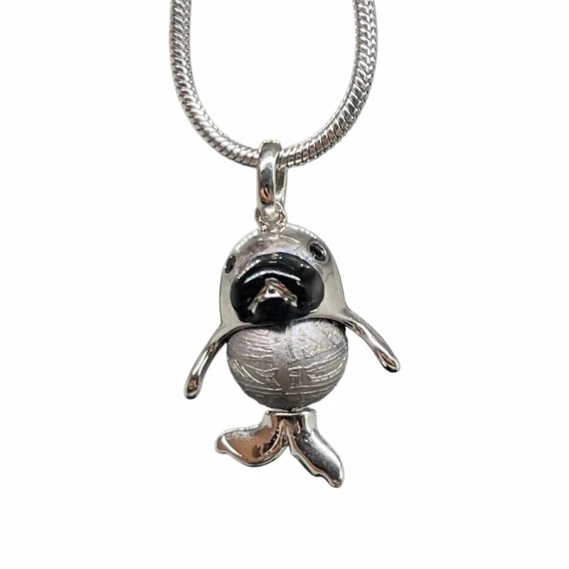 6.2g Meteorite Pendant Natural Iron Meteorite Pendant Supports Customized Collectibles - LK304