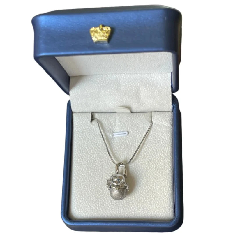 6.5g Meteorite Pendant Natural Iron Meteorite Pendant Supports Customized Collectibles - LK309