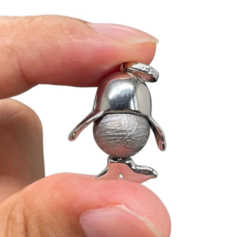 6.2g Meteorite Pendant Natural Iron Meteorite Pendant Supports Customized Collectibles - LK304