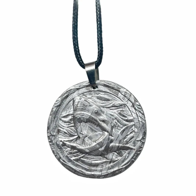 18.2 g Muonionalusta Carving Shark Meteorite Pendant Natural Iron Meteorite Pendant Supports Customized Collectibles - LK321