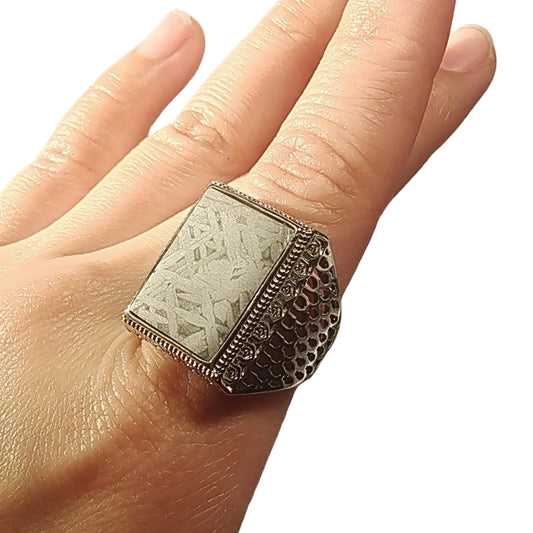 9.1g Muonionalusta meteorite S925 Silver Ring Natural iron meteorite pendant MeteoriteHandmade jewelry Silver Ring --K35